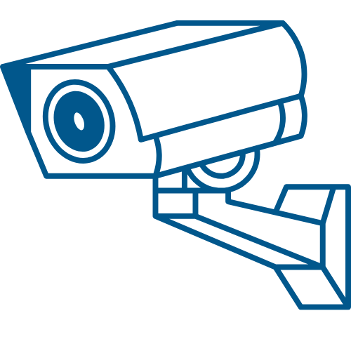 daffodil cctv